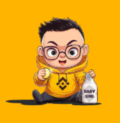 Baby BNB crypto logo