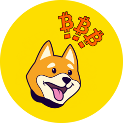 BitBonk crypto logo