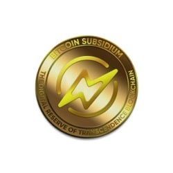 Bitcoin Subsidium crypto logo