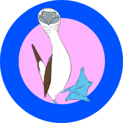 Blue-Footed Booby crypto logo