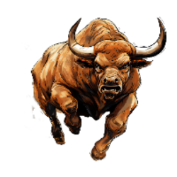 Bull Run Solana crypto logo