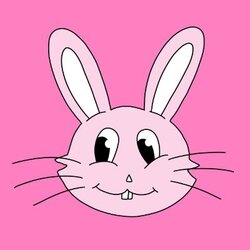 Bunnie crypto logo