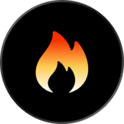 Burncoin crypto logo