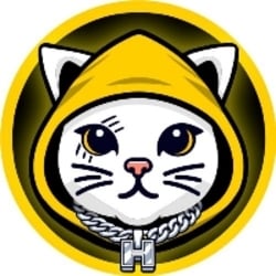 Cat in Hoodie crypto logo