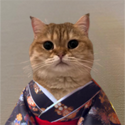 catownkimono crypto logo