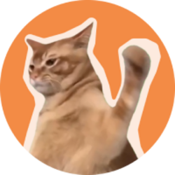 CatSlap crypto logo