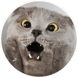 Chartreux Cat crypto logo