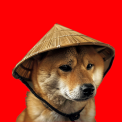 Chinese Doge Wow crypto logo