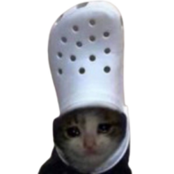 croc cat crypto logo