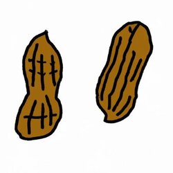 Deez Nuts crypto logo