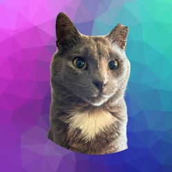 DIAMOND The Cat Coin crypto logo