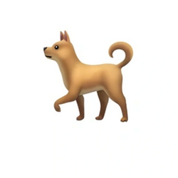 Dog Emoji On Solana crypto logo