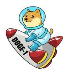 DOGE-1 crypto logo