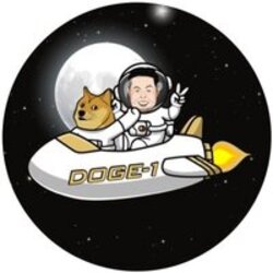 DOGE-1 Moon Mission crypto logo