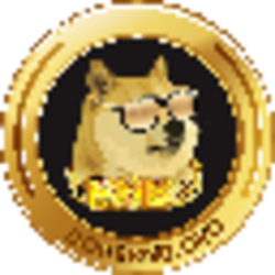 DogeBNB.org crypto logo