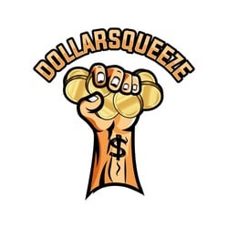 DollarSqueeze crypto logo