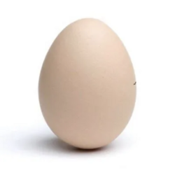 Egg crypto logo