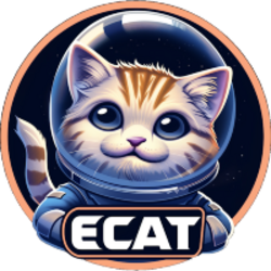 ELON CAT FINANCE crypto logo