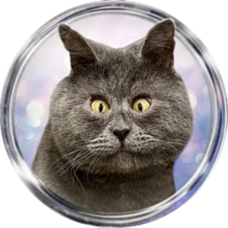 FEDJA CAT crypto logo