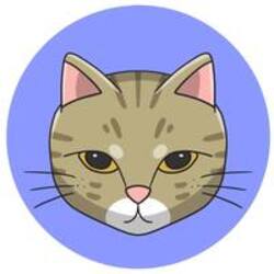 Ginnan Neko crypto logo