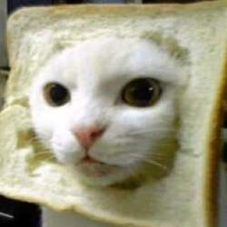 Inbred Cat crypto logo