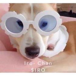 Iro-Chan crypto logo