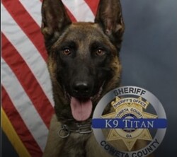 K-9 Killed in Shootout crypto logo