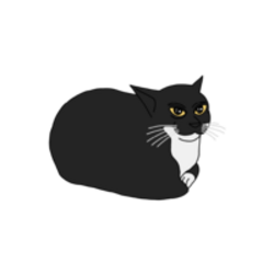 Maxwell the spinning cat crypto logo