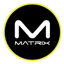 Mind Matrix crypto logo