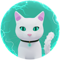 Nocha the Kat crypto logo