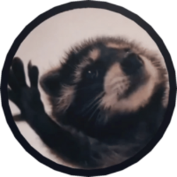 Pedro Raccoon crypto logo