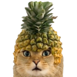 Pineapple Cat crypto logo