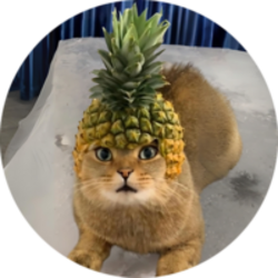 Pineapple Cat crypto logo