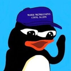 Pingu on SOL crypto logo