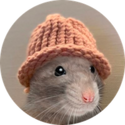 RatWifHat crypto logo