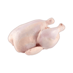 Raw Chicken Experiment crypto logo