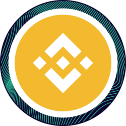 sBNB crypto logo