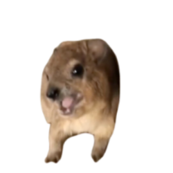 Screaming Hyrax crypto logo