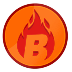 BURN crypto logo