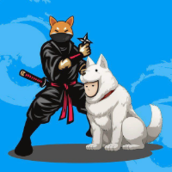 Shintama crypto logo