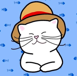 Shiro Neko CTO crypto logo