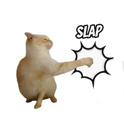 Slap cat crypto logo