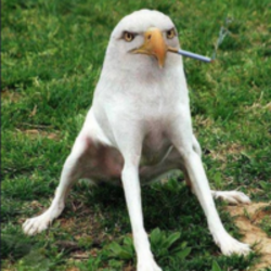 Smoking Eagle Dog crypto logo