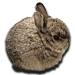 Smol Bun crypto logo