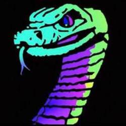 Snake Of Solana crypto logo