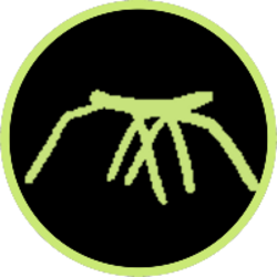 stickbug crypto logo