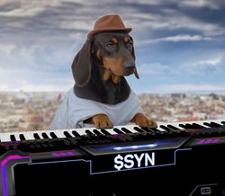 Syn Dog crypto logo