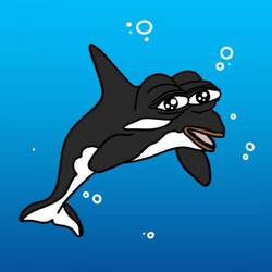 Tilly The Killer Whale crypto logo