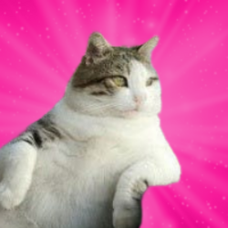 Tombili the Fat Cat crypto logo