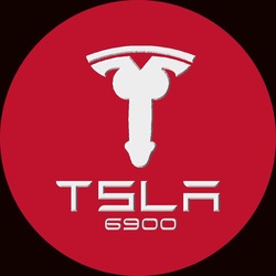 TSLA6900 crypto logo